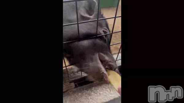 �����ߡ�