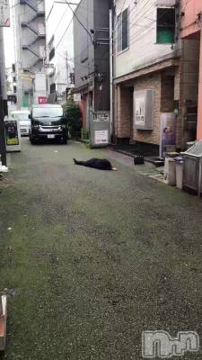 ������part2