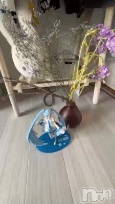 �ߤ�����Τ����ʤ��