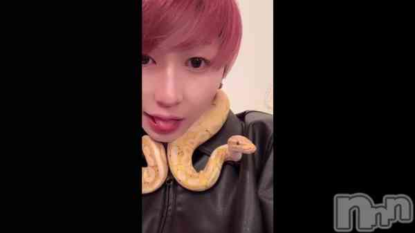 �֤�����������