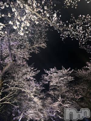 �����������������åȥС�Bar.Re.Muse(�С���ߥ塼��) ����(22)��4��12���̥�֥�����🌸(^_^)🌸��