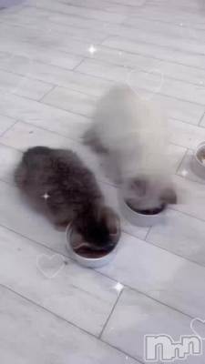 ���륳��������å���