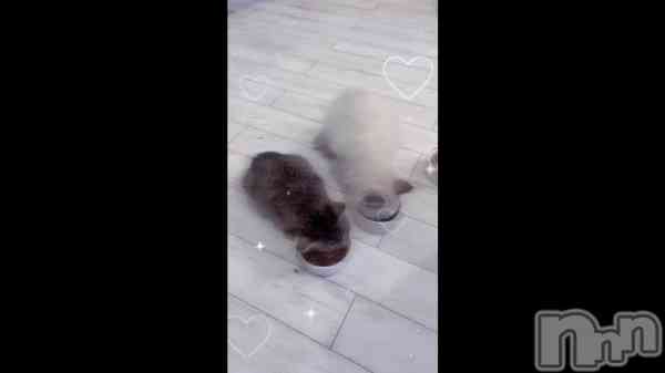 �֥��륳��������å�����