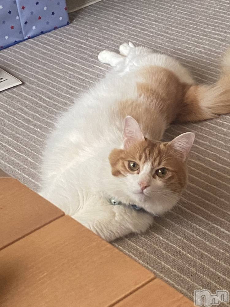 �����������������åȥС�Bar.Re(�С������륤��) �������5��9���̥�֥����ֺ�������ޤ�1���֡���