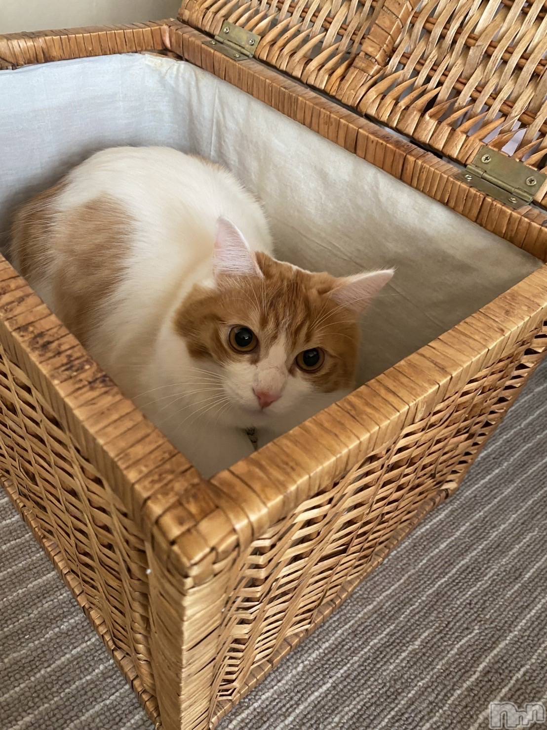 �����������������åȥС�Bar.Re(�С������륤��) ��2025ǯ3��24���̥�֥����֎����Ύ����Ύ����Ρ�