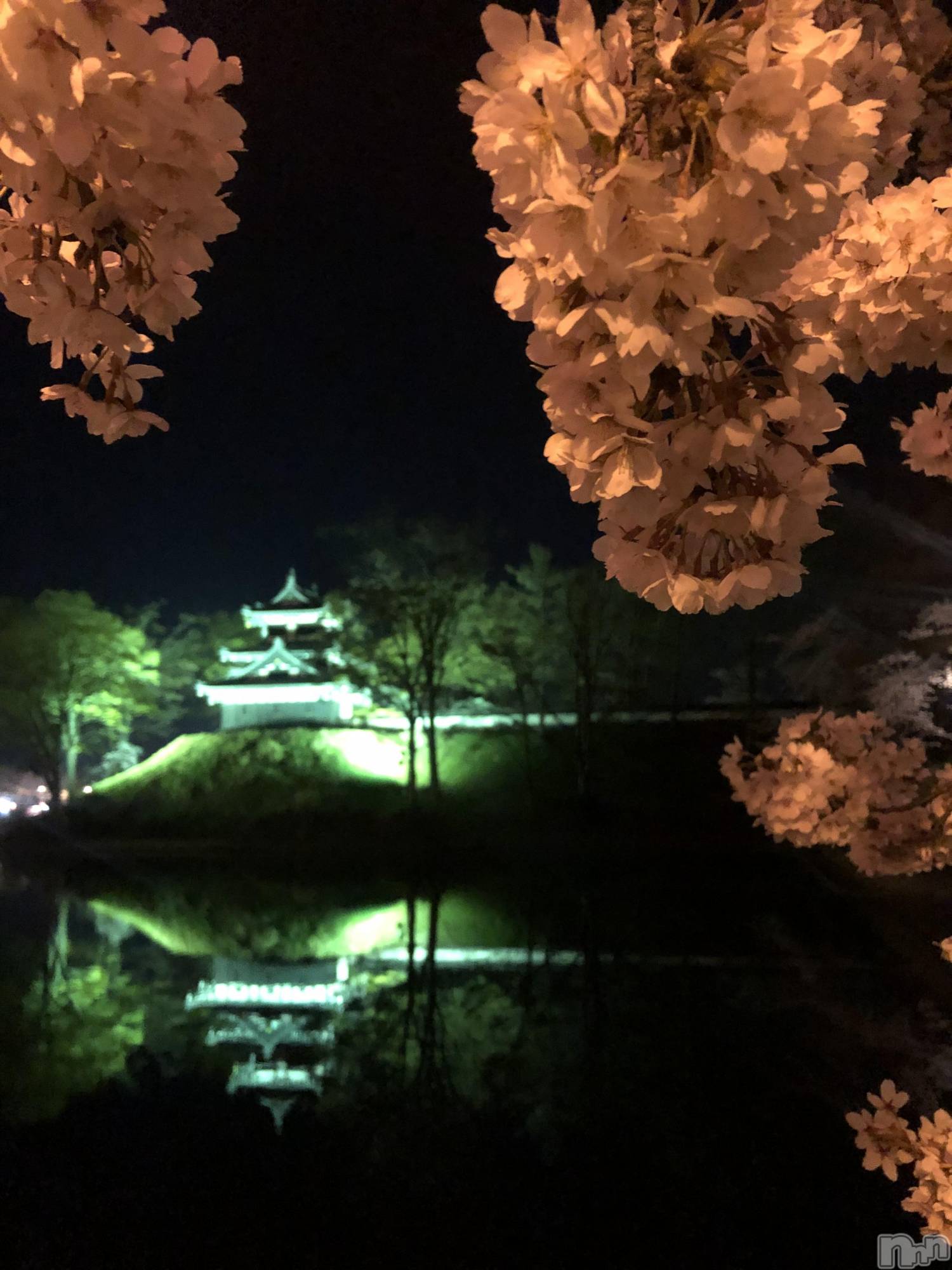 �����������������åȥС�Bar.Re(�С������륤��) ��2025ǯ4��19���̥�֥��������🌸��