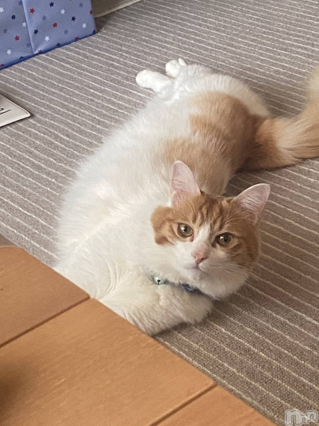 �����������������åȥС�Bar.Re(�С������륤��) ��2025ǯ5��9���̥�֥����ֺ�������ޤ�1���֡���