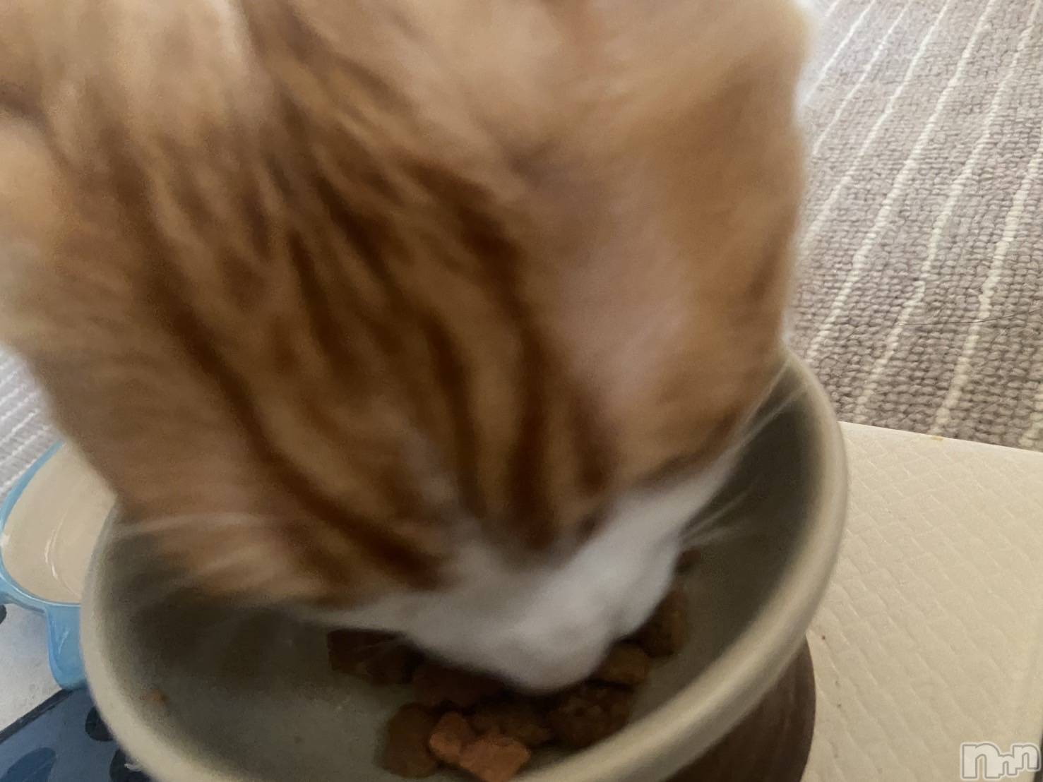 �����������������åȥС�Bar.Re(�С������륤��) ��2025ǯ6��29���̥�֥����֤ࡼ������