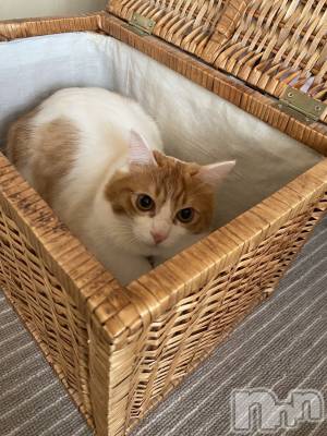 �����������������åȥС�Bar.Re(�С������륤��) ������(22)��3��24���̥�֥����֎����Ύ����Ύ����Ρ�