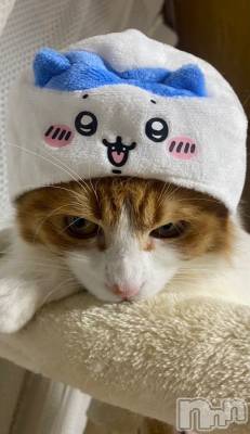 �����������������åȥС�Bar.Re(�С������륤��) ������(22)��3��26���̥�֥����֤ࡼ����🐈��