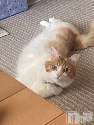 �����������������åȥС�Bar.Re(�С������륤��) ������(22)��5��9���̥�֥����ֺ�������ޤ�1���֡���