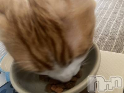 �����������������åȥС�Bar.Re(�С������륤��) ������(22)��6��29���̥�֥����֤ࡼ������