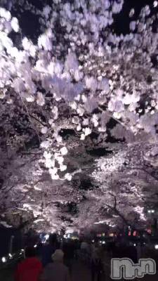 ������🌸