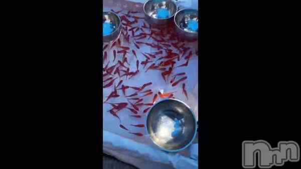 �֤��󤮤�🐟��