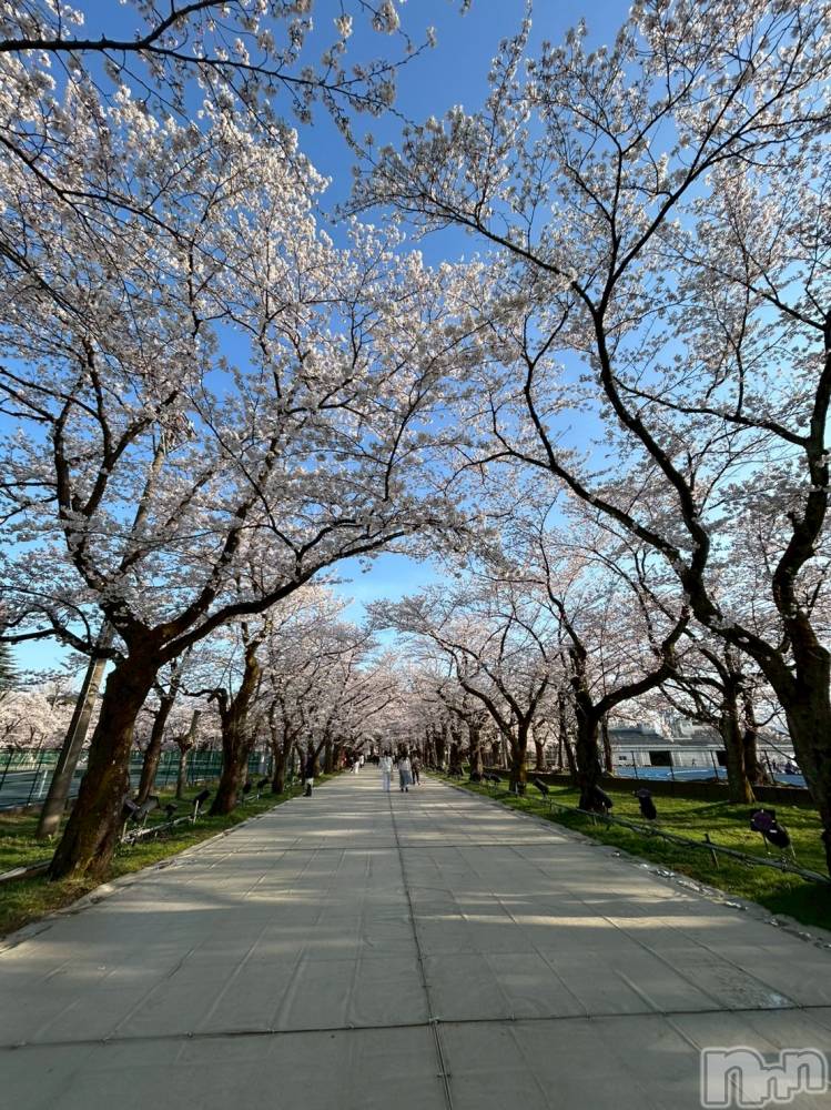 �����������������åȥС�Bar.Re.Muse(�С���ߥ塼��) �줤��4��10���̥�֥����ֲ֤����