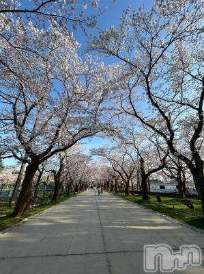 �����������������åȥС�Bar.Re.Muse(�С���ߥ塼��) �줤(18)��4��10���̥�֥����ֲ֤����