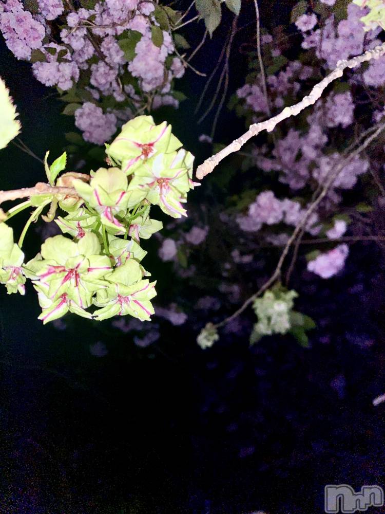 �����������������åȥС�Bar RE.VOICE(�С����������) ���硼������4��3���̥�֥���������������ä����¿ʬ��