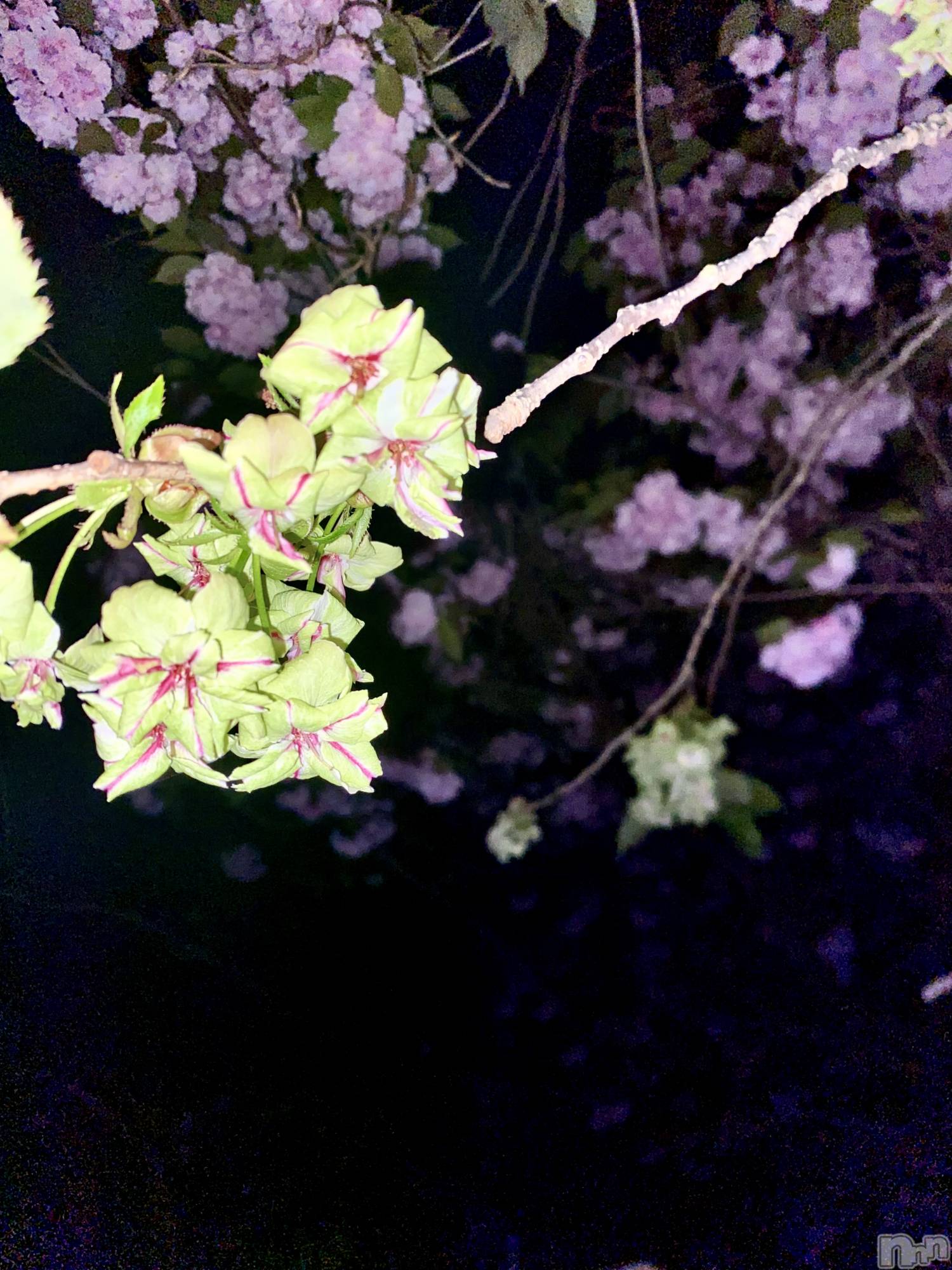 �����������������åȥС�Bar RE.VOICE(�С����������) ��2025ǯ4��3���̥�֥���������������ä����¿ʬ��