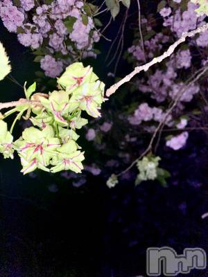 �����������������åȥС�Bar RE.VOICE(�С����������) ���硼�����(34)��4��3���̥�֥���������������ä����¿ʬ��