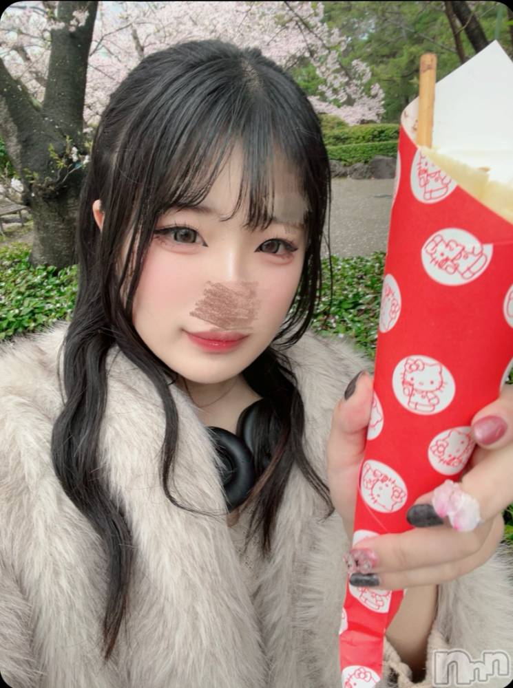 ����ȯ��󥺥���ѥ˥������ɸ�����ѥ˥��� Voclato-�ͤ��-(�ܥ����) ��ޤ�����4��15���̥�֥����ֺ�����🌸��