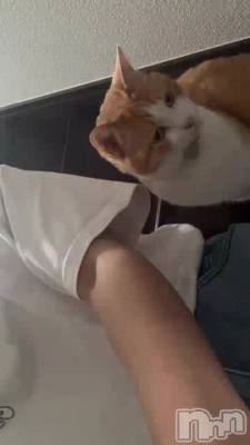 �����Τͤ������