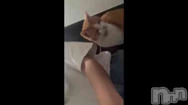 �֤����Τͤ�������