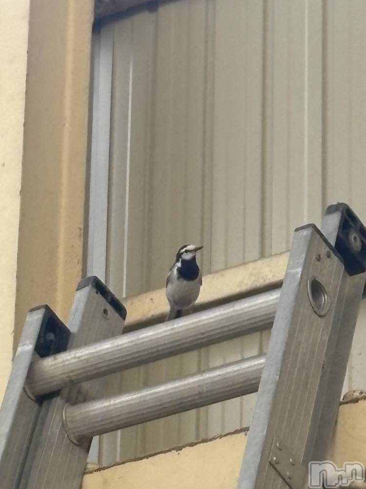 �����������������åȥС�Cafe&Bar Roots �롼��(���ե�����ɥС� �롼��) �դߤ��5��30���̥�֥����ֽ����롼�ĻϤޤ�ޤ���