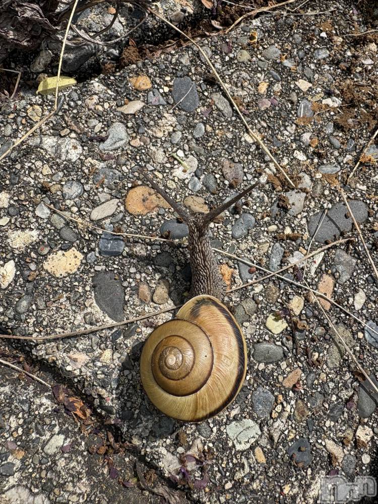 �����������������åȥС�Cafe&Bar Roots �롼��(���ե�����ɥС� �롼��) �դߤ��6��13���̥�֥����ֺ�������3���֤��ޤ���