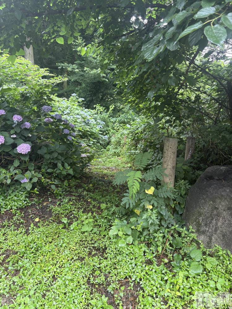 �����������������åȥС�Cafe&Bar Roots �롼��(���ե�����ɥС� �롼��) �դߤ��6��27���̥�֥����ֺ���Roots���ޤ�🫡��