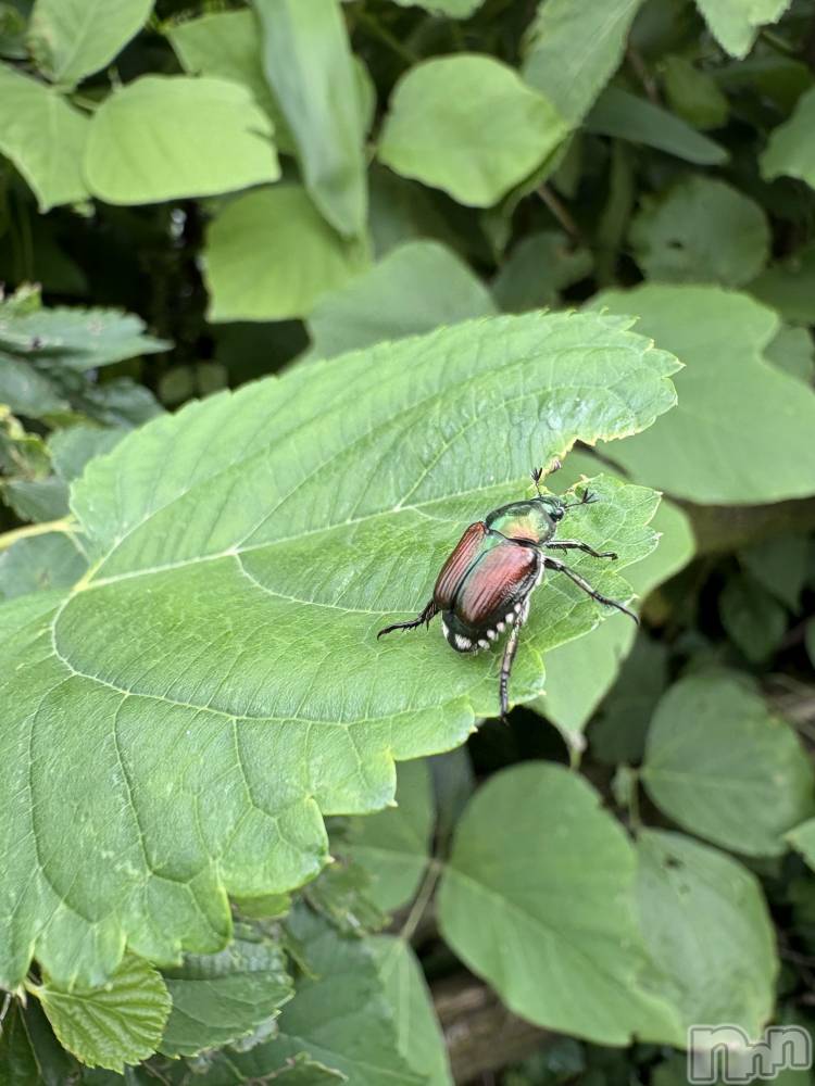 �����������������åȥС�Cafe&Bar Roots �롼��(���ե�����ɥС� �롼��) �դߤ��7��4���̥�֥����֤դߤ�22�����餤�ޤ�������������