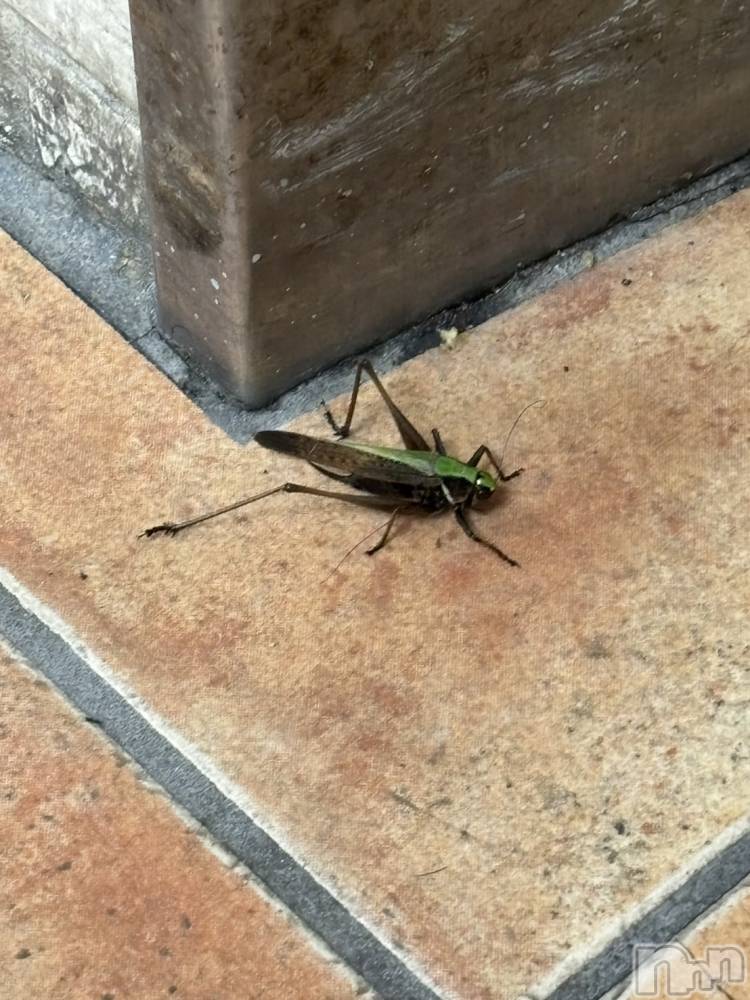 �����������������åȥС�Cafe&Bar Roots �롼��(���ե�����ɥС� �롼��) �դߤ��7��11���̥�֥����ֽ�������������☝️��