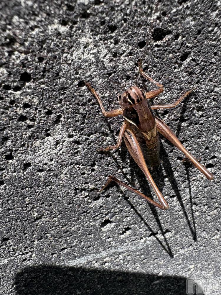 �����������������åȥС�Cafe&Bar Roots �롼��(���ե�����ɥС� �롼��) �դߤ��7��25���̥�֥����ֺ������⤿������פ��к��ޤ��礦🙌��