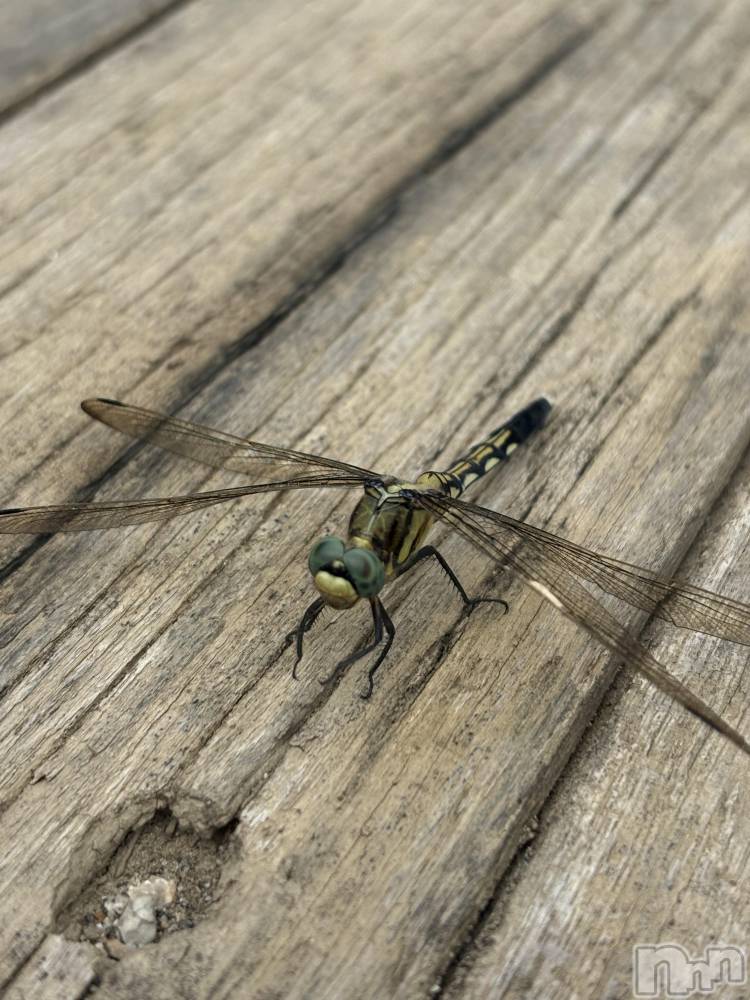 �����������������åȥС�Cafe&Bar Roots �롼��(���ե�����ɥС� �롼��) �դߤ��8��29���̥�֥����ֳ������ߤ��꤬�Ȥ��������ޤ���😊��