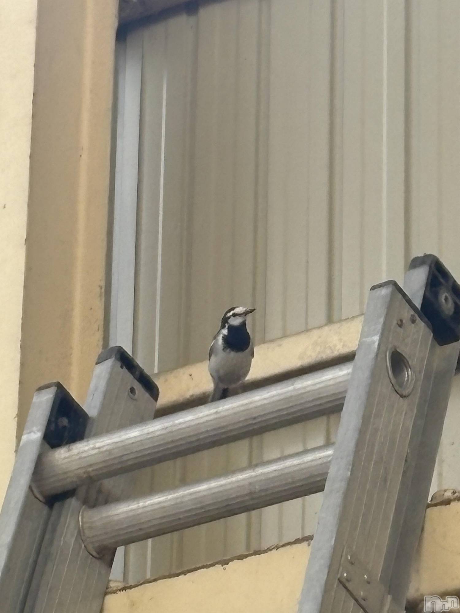 �����������������åȥС�Cafe&Bar Roots �롼��(���ե�����ɥС� �롼��) ��2025ǯ5��30���̥�֥����ֽ����롼�ĻϤޤ�ޤ���