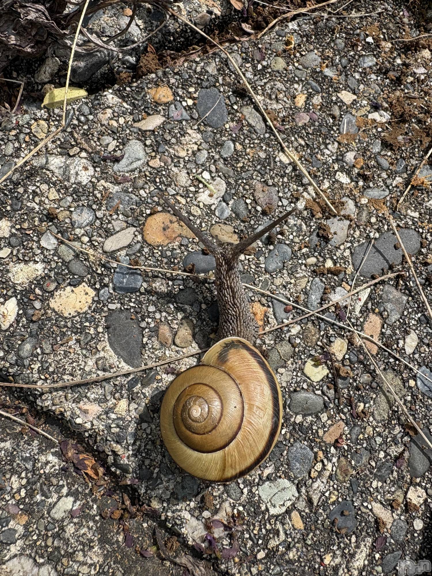 �����������������åȥС�Cafe&Bar Roots �롼��(���ե�����ɥС� �롼��) ��2025ǯ6��13���̥�֥����ֺ�������3���֤��ޤ���