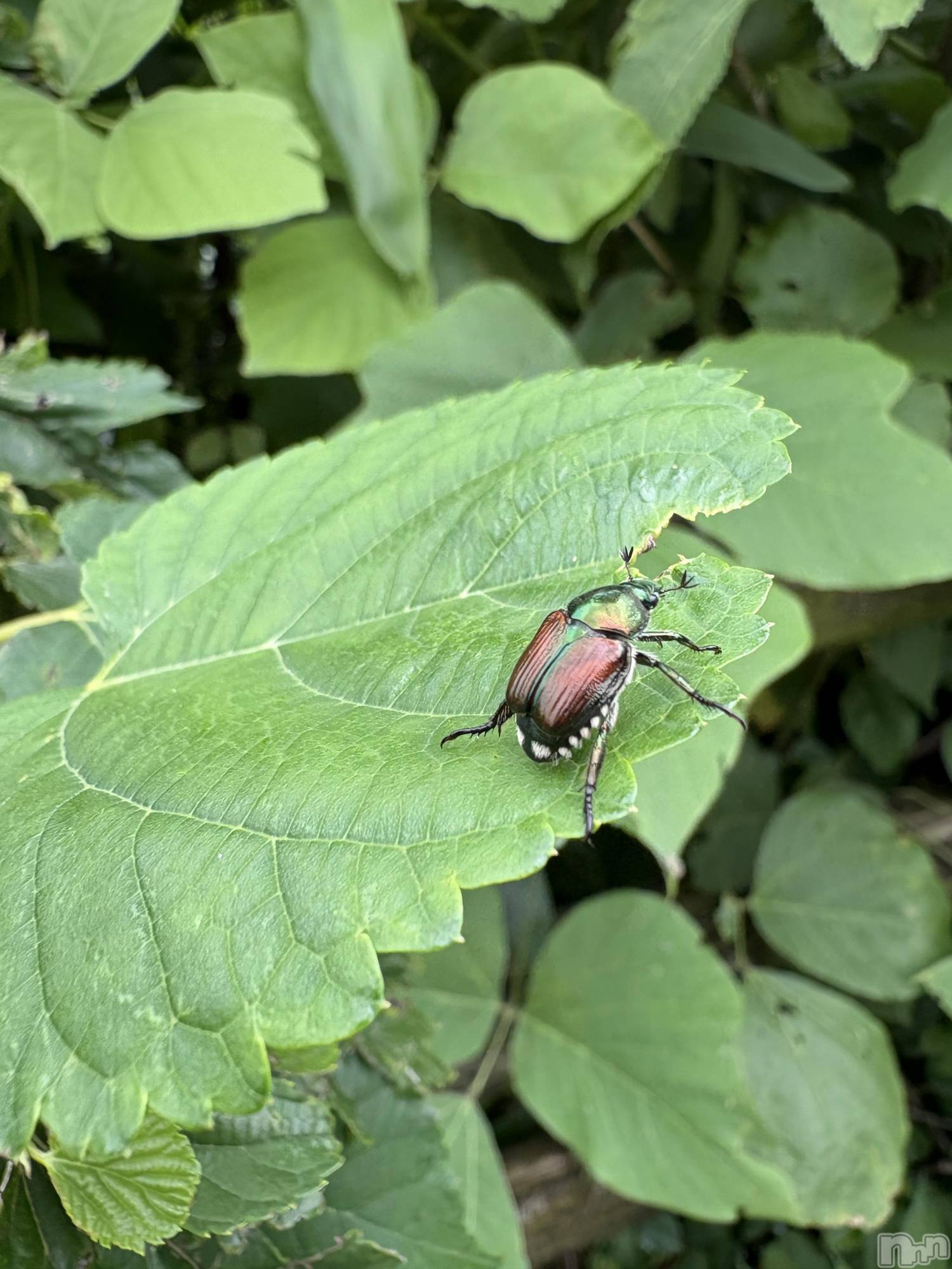 �����������������åȥС�Cafe&Bar Roots �롼��(���ե�����ɥС� �롼��) ��2025ǯ7��4���̥�֥����֤դߤ�22�����餤�ޤ�������������