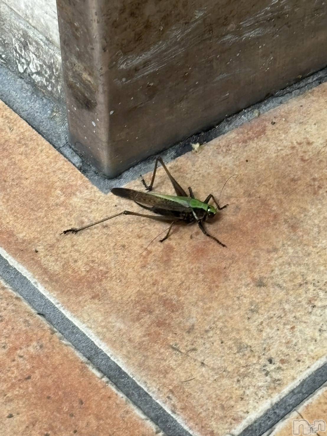 �����������������åȥС�Cafe&Bar Roots �롼��(���ե�����ɥС� �롼��) ��2025ǯ7��11���̥�֥����ֽ�������������☝️��