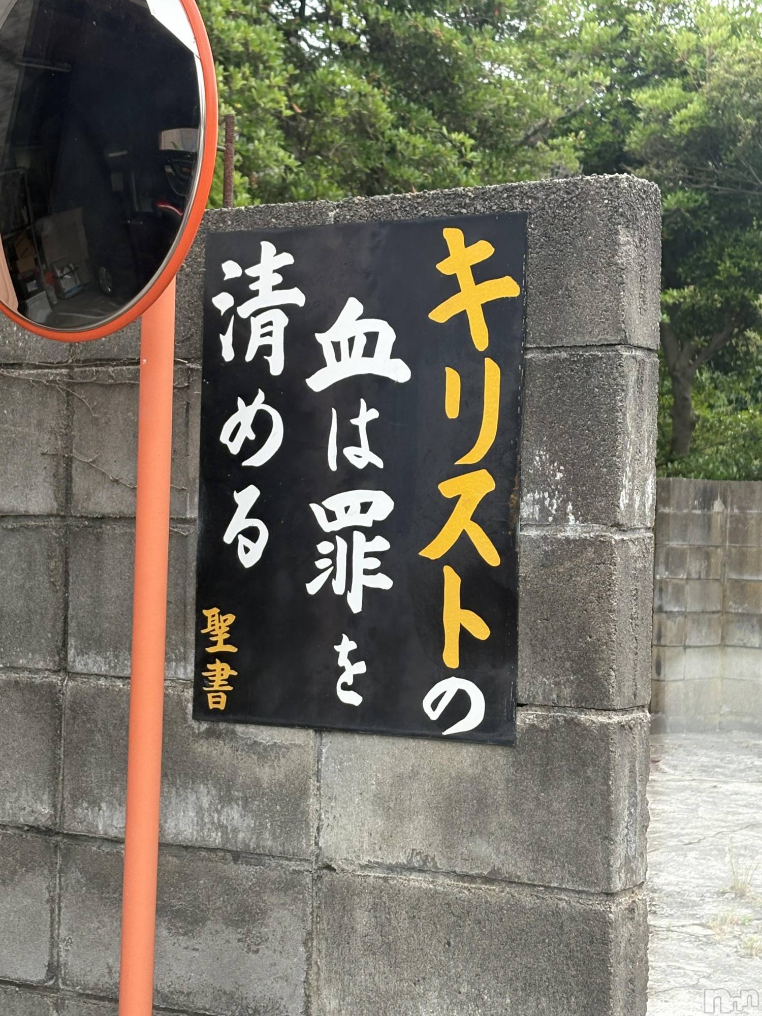 �����������������åȥС�Cafe&Bar Roots �롼��(���ե�����ɥС� �롼��) ��2025ǯ7��20���̥�֥����ֳڤ�����Ϣ�ٳڤ��⤦🙌🙌��