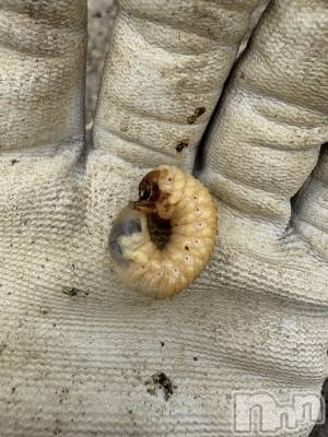 �����������������åȥС�Cafe&Bar Roots �롼��(���ե�����ɥС� �롼��) �դߤ��5��16���̥�֥����ְ����餷����ؤ���ɬ������