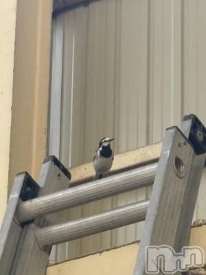 �����������������åȥС�Cafe&Bar Roots �롼��(���ե�����ɥС� �롼��) �դߤ��5��30���̥�֥����ֽ����롼�ĻϤޤ�ޤ���