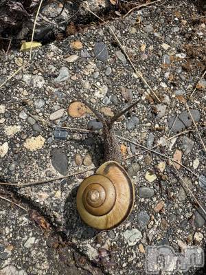 �����������������åȥС�Cafe&Bar Roots �롼��(���ե�����ɥС� �롼��) �դߤ��6��13���̥�֥����ֺ�������3���֤��ޤ���