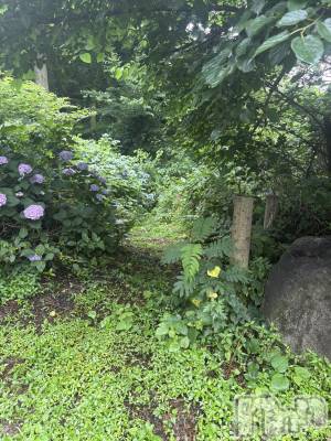 �����������������åȥС�Cafe&Bar Roots �롼��(���ե�����ɥС� �롼��) �դߤ��6��27���̥�֥����ֺ���Roots���ޤ�🫡��