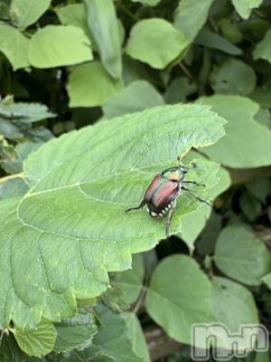 �����������������åȥС�Cafe&Bar Roots �롼��(���ե�����ɥС� �롼��) �դߤ��7��4���̥�֥����֤դߤ�22�����餤�ޤ�������������