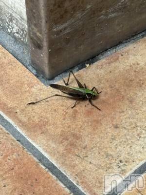 �����������������åȥС�Cafe&Bar Roots �롼��(���ե�����ɥС� �롼��) �դߤ��7��11���̥�֥����ֽ�������������☝️��