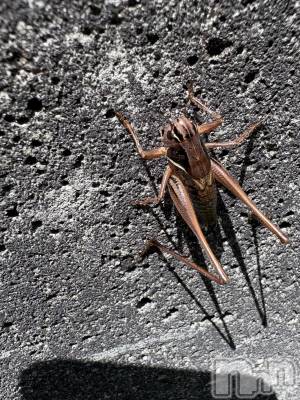 �����������������åȥС�Cafe&Bar Roots �롼��(���ե�����ɥС� �롼��) �դߤ��7��25���̥�֥����ֺ������⤿������פ��к��ޤ��礦🙌��