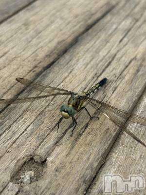 �����������������åȥС�Cafe&Bar Roots �롼��(���ե�����ɥС� �롼��) �դߤ��8��29���̥�֥����ֳ������ߤ��꤬�Ȥ��������ޤ���😊��