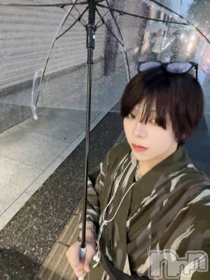 ��Į�ۥ��ȡ��ܡ������С�A151(�����������ݥ���) �����8��10���̥�֥����ֺ����ϥ��٥�����Ǥ�����