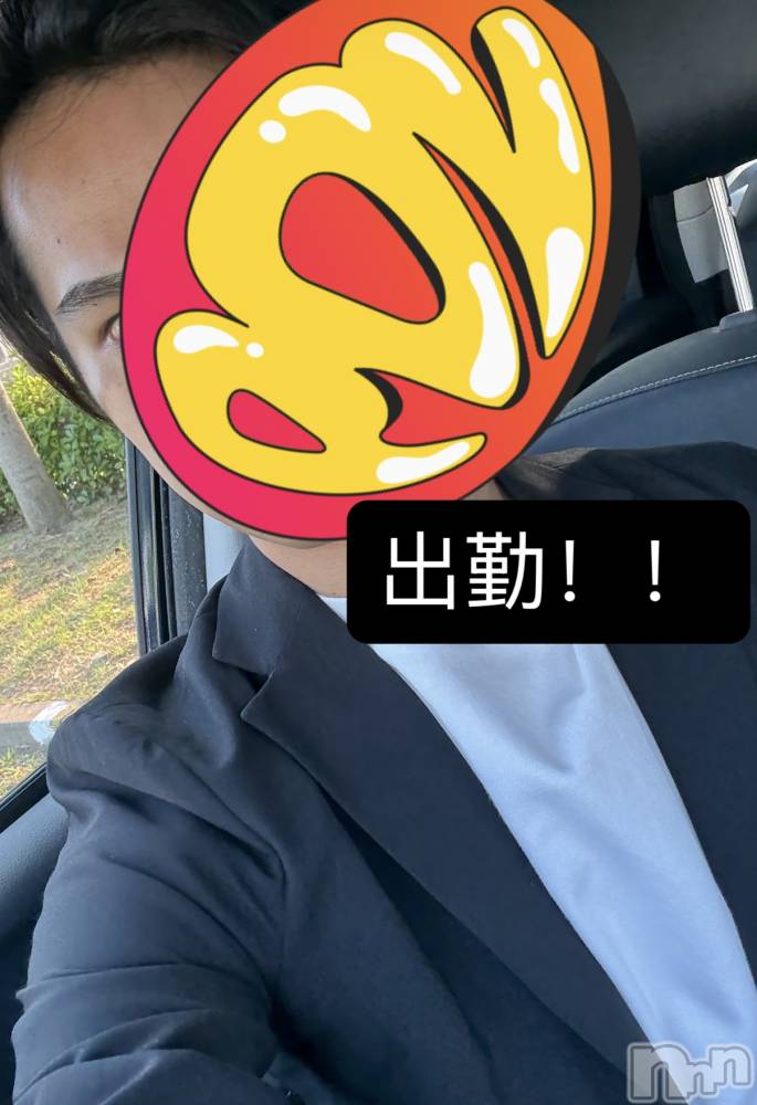 ��Į�ۥ��ȡ��ܡ������С�A151(�����������ݥ���) �����6��30���̥�֥�������������