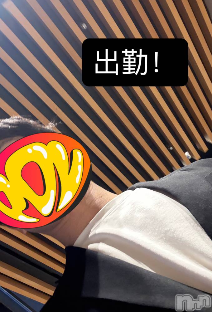 ��Į�ۥ��ȡ��ܡ������С�A151(�����������ݥ���) �����10��3���̥�֥�����34��