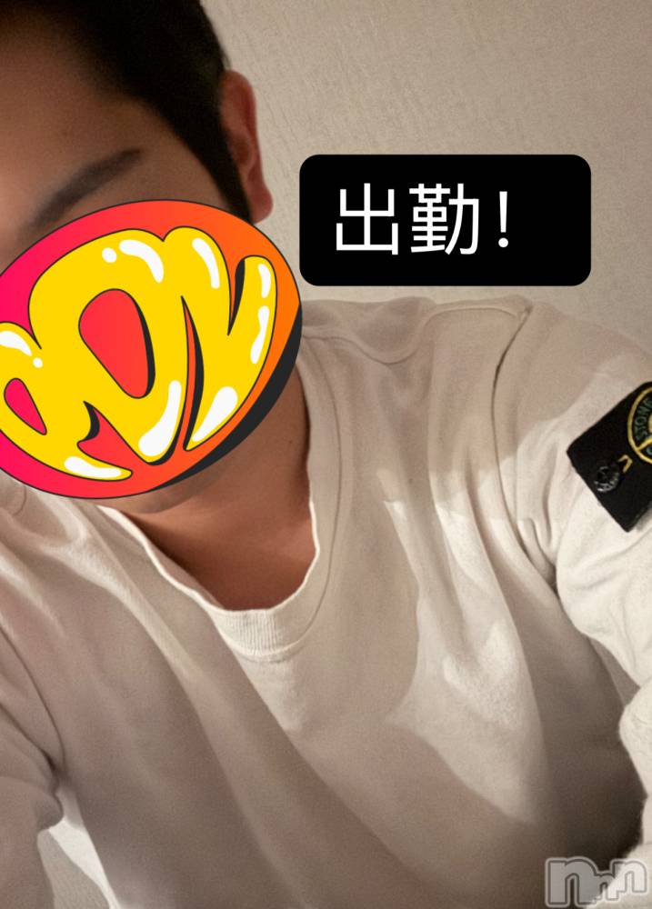 ��Į�ۥ��ȡ��ܡ������С�A151(�����������ݥ���) �����10��12���̥�֥�����36��